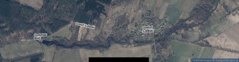 Zdjęcie satelitarne Gostyń Łobeski ul.